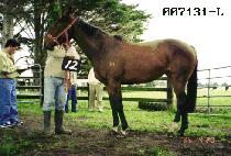 ��Ʈ (JET) ����