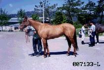 ��ȭ (DAE HWA) ����