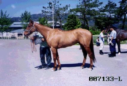 ��ȭ ����