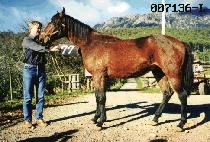 ���ּ� (JIN JU SEONG) ����