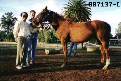 ����� ����