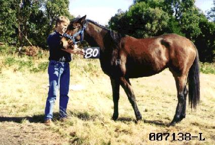 ����� ����