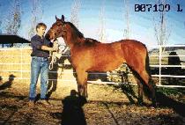 ���� (SEUNG JIN) ����