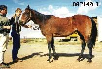 ���� (JOON JOK) ����