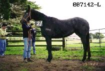 �����ѱ�� (CHALLANAN GIPPEUM) ����