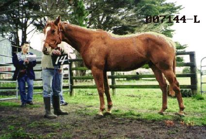 �ӷ��ึ ����