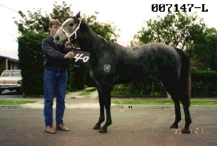 �Ͼ����� ����