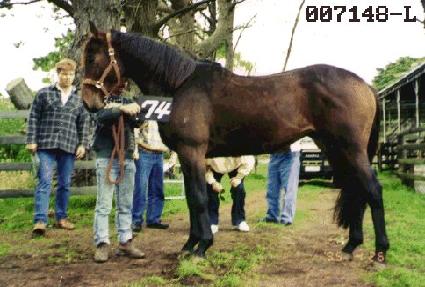 �ְ���� ����