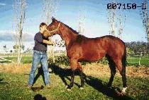 ����强 (YONG A JANG SEONG) ����