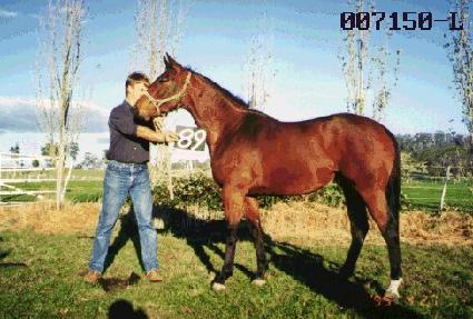 ����强 ����