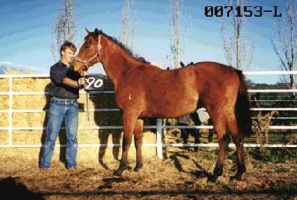 �ƻ� ����