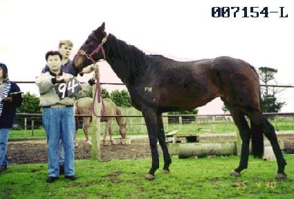 ������ ����