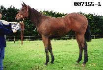 �屺�� (JANG GOON BONG) ����