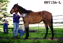 ����� (DAE JANG WON) ����