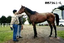 ���� (SSI AT) ����