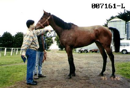 ���� ����