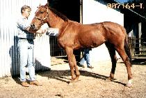 �ݸ�� (GEUM MOA) ����