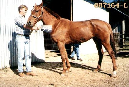 �ݸ�� ����