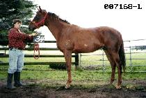 ���� (GANG NAM) ����