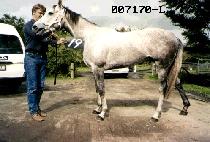 �κ� (MIN BI SEONG) ����