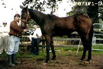 �ٴ� (BADA) ����