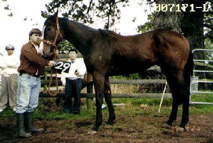 �ٴ� ����