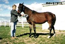 Ȩ���� (HOMERUN WANG) ����