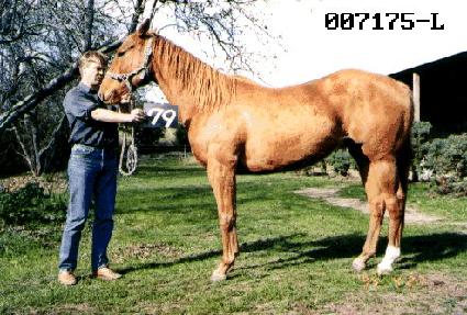 ��ȣ�� ����