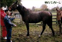 ��̸��� (JAEMI MANJEOM) ����