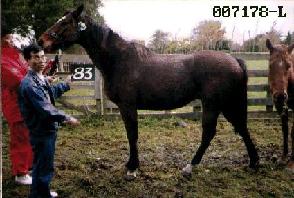 ��̸��� ����