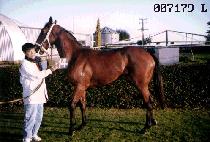 ���� (GANG SE) ����