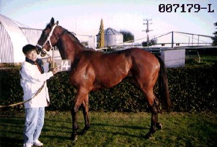 ���� ����