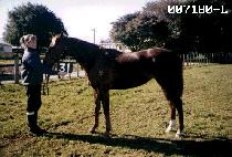 ��õ (GWANG CHEON) ����