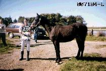 ������ (YEONG GAK SA) ����