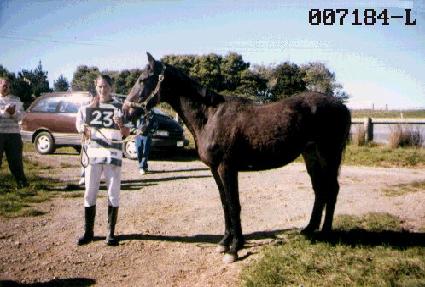 ������ ����