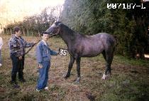 �������� (MU REUNG DO WON) ����