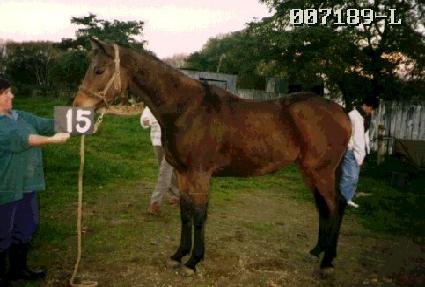 û���� ����