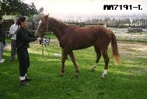 ���� (GANG GYEON) ����