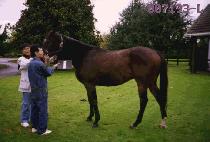 ���� (MYEONG JANG) ����