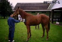 �ٶ�� (BARADA) ����