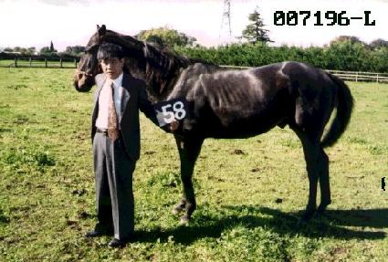 ���Ͽ� ����