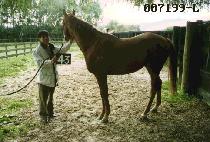 �׸��� (GREEN FILL) ����