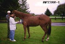 ŷ���̿� (KING LION) ����