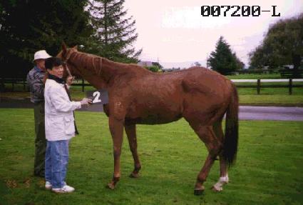 ŷ���̿� ����