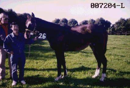 ����Ŵ�� ����