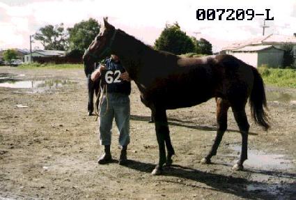 �������� ����