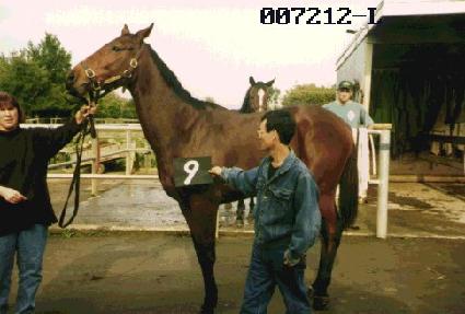 ��Ϻ� ����