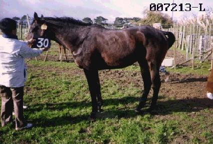 �˰��� ����