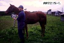 ����ȣ (DAE JEON HO) ����