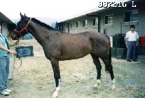 ������ (WOL MYEONG SAN) ����